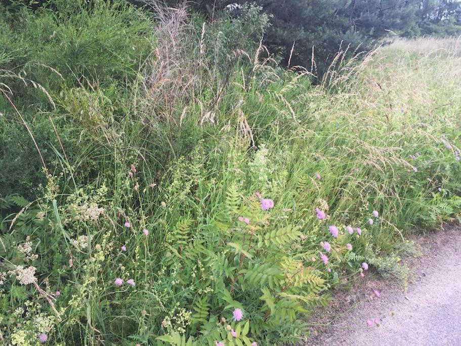 Entspannung In Der Schoenen Lueneburger Heide Gohrde Екстериор снимка